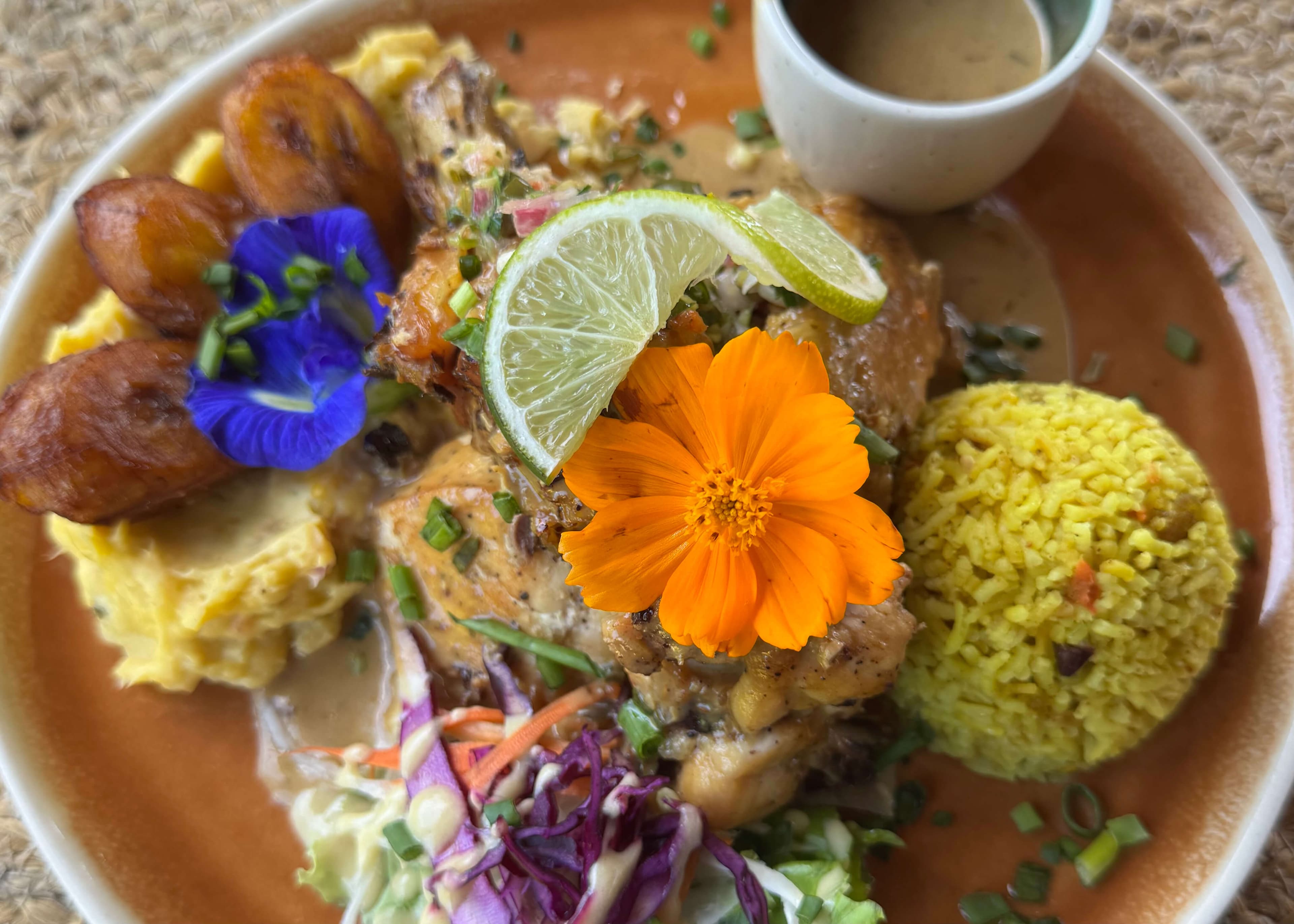 Le New Koud Food, Sainte-Anne